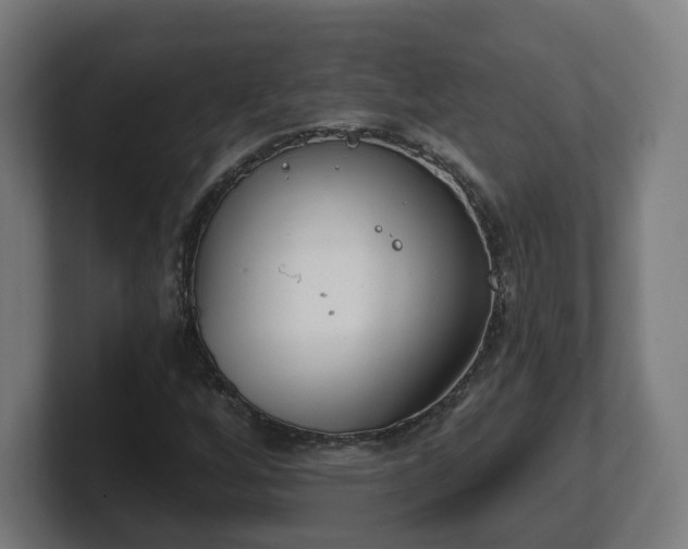 X0000101701256200807171507