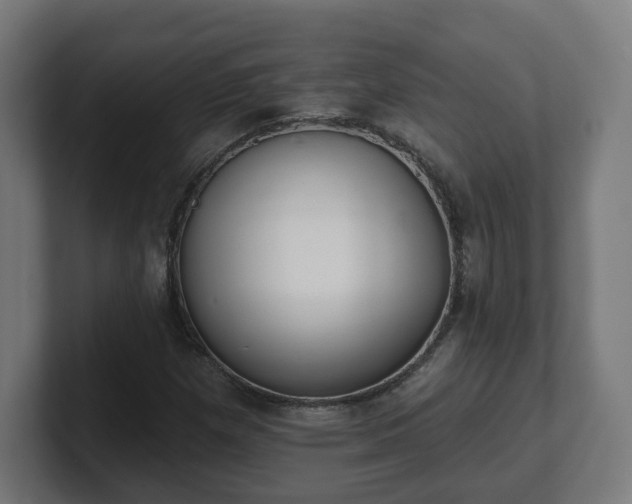 X0000101701257200807171507