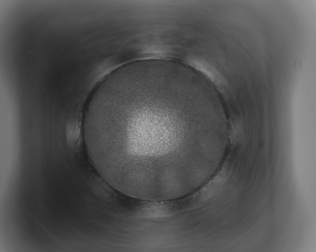 X0000101701259200807171507