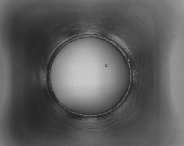 X0000101701260200807171507