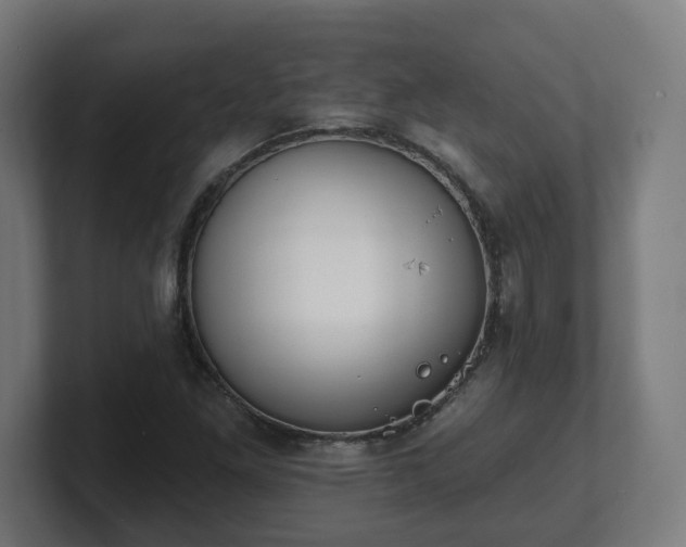 X0000101701261200807171507