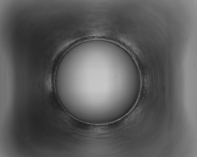 X0000101701262200807171507