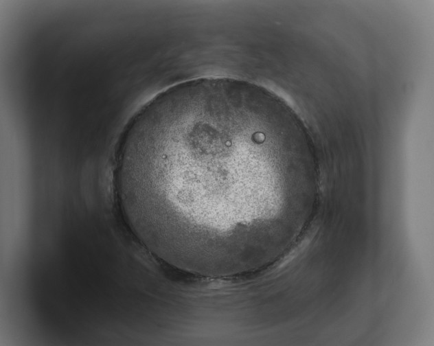 X0000101701263200807171507