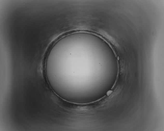 X0000101701264200807171507