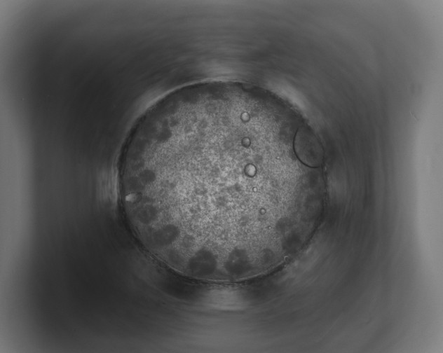 X0000101701267200807171507