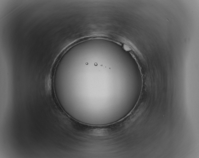 X0000101701268200807171507