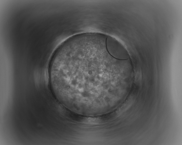 X0000101701271200807171507