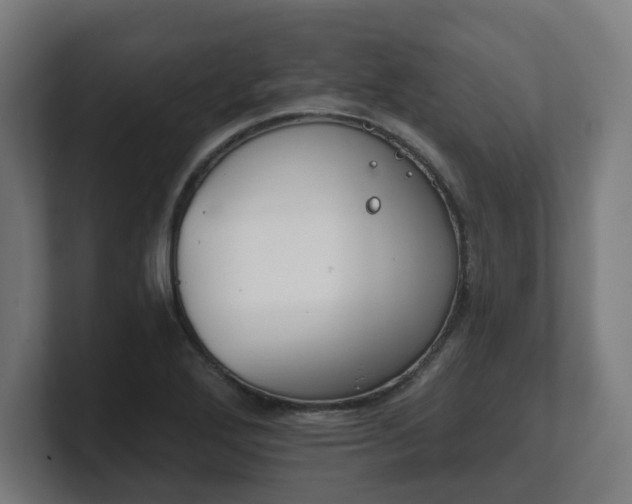 X0000101701272200807171507