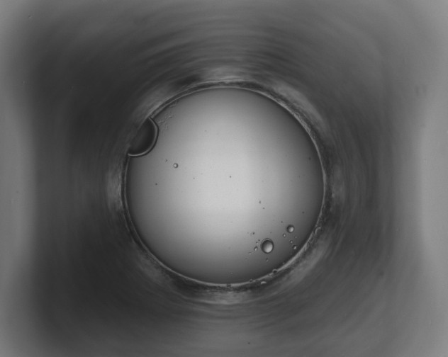 X0000101701273200807171507