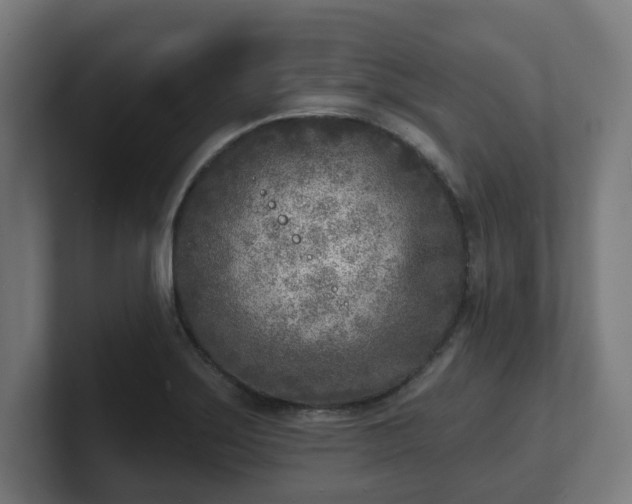 X0000101701275200807171507