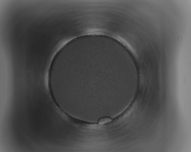 X0000101701277200807171507