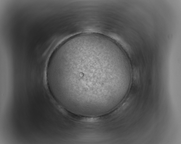 X0000101701278200807171507