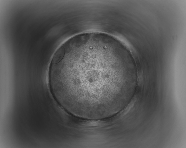 X0000101701279200807171507