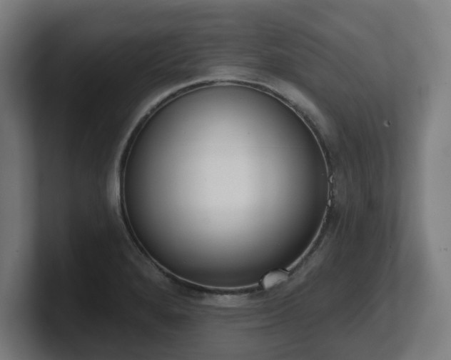 X0000101701280200807171507