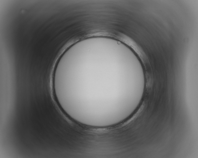 X0000101701282200807171507