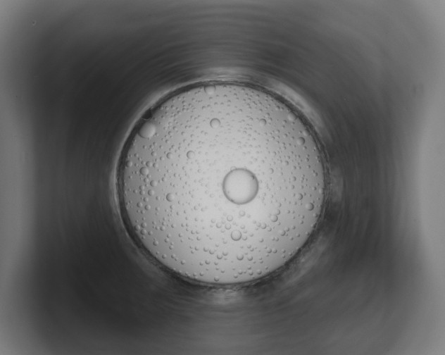 X0000101701283200807171507