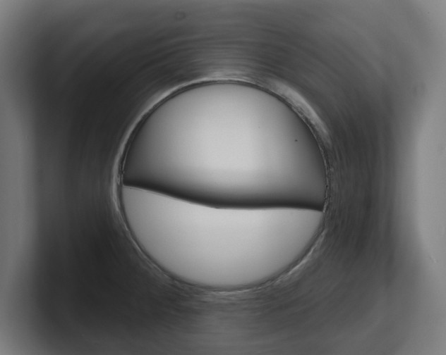 X0000101701284200807171507