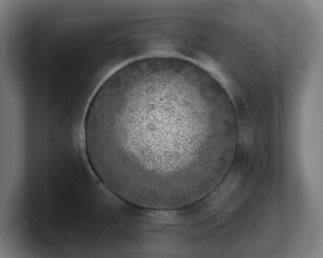 X0000101701287200807171507