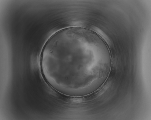 X0000101701291200807171507