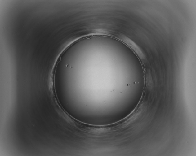 X0000101701292200807171507