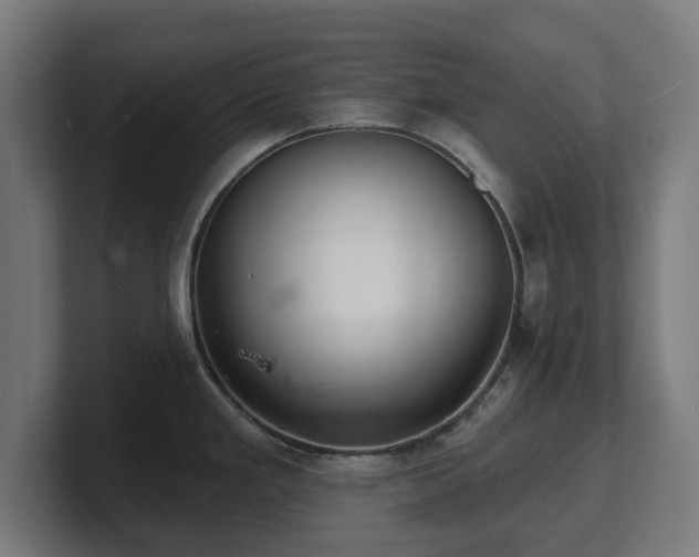 X0000101701293200807171507