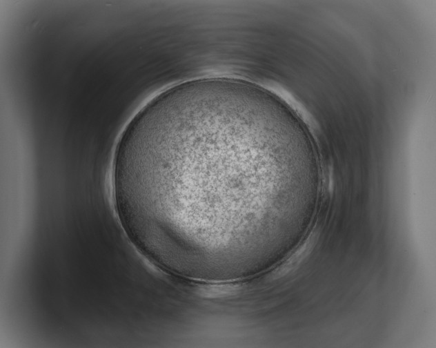 X0000101701294200807171506