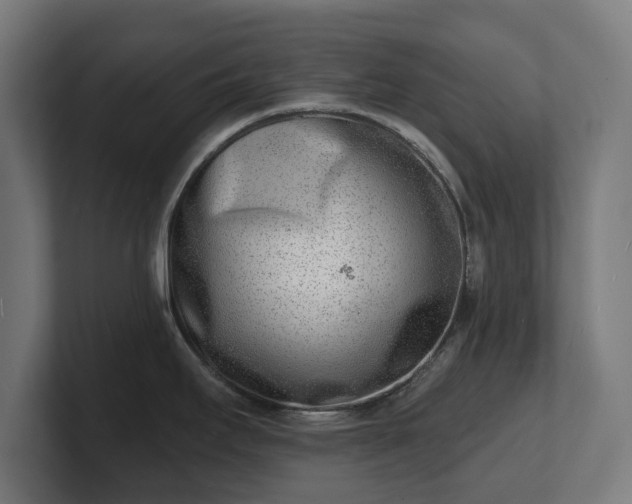 X0000101701295200807171506