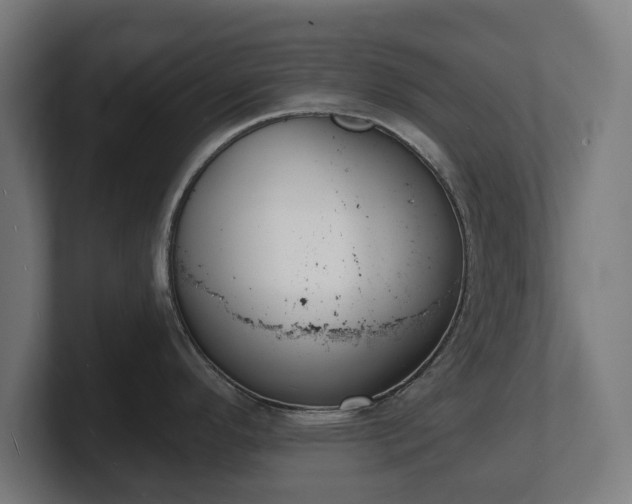 X0000101701296200807171506