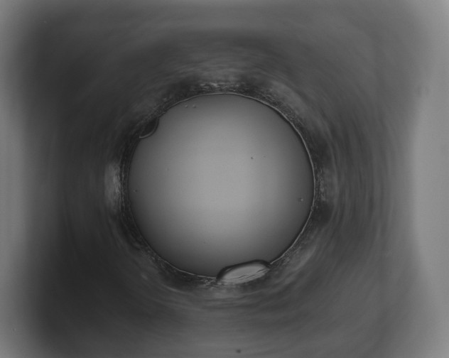 X0000101701298200807171506