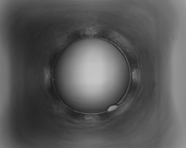 X0000101701299200807171506