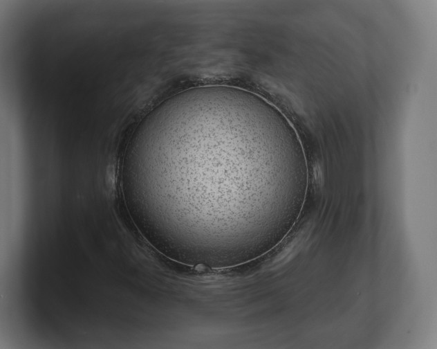 X0000101701300200807171506