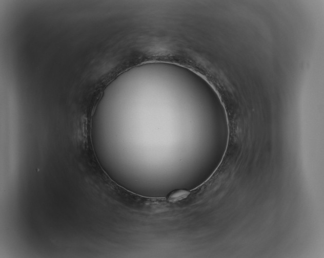 X0000101701301200807171506