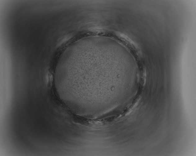 X0000101701302200807171506