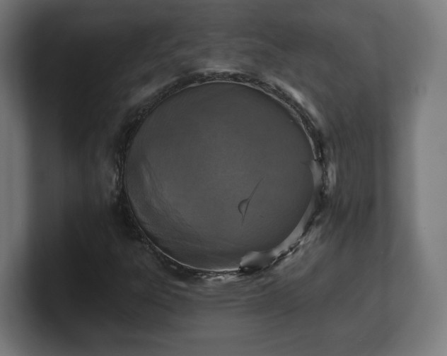 X0000101701303200807171506