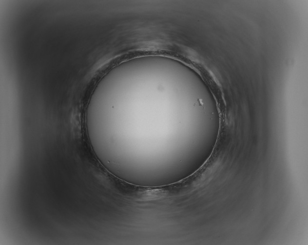 X0000101701304200807171506