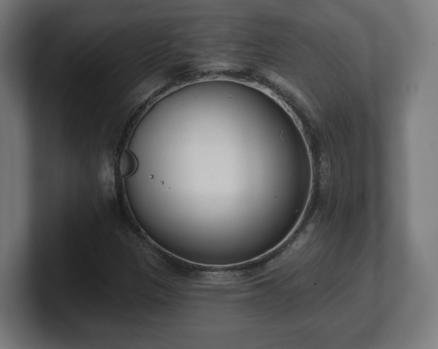 X0000101701305200807171506