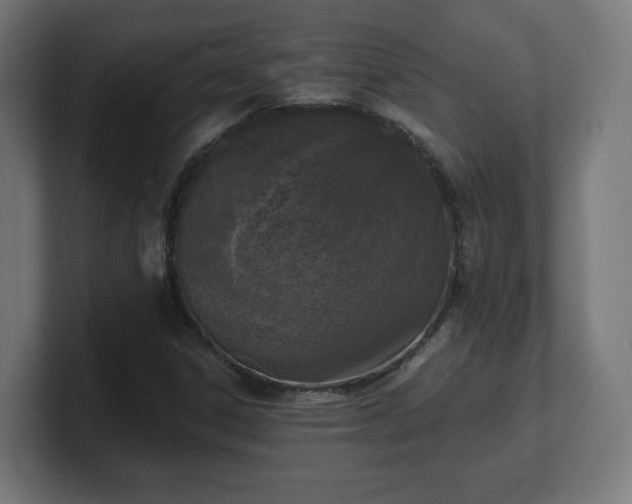 X0000101701306200807171506