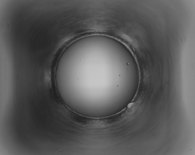 X0000101701307200807171506