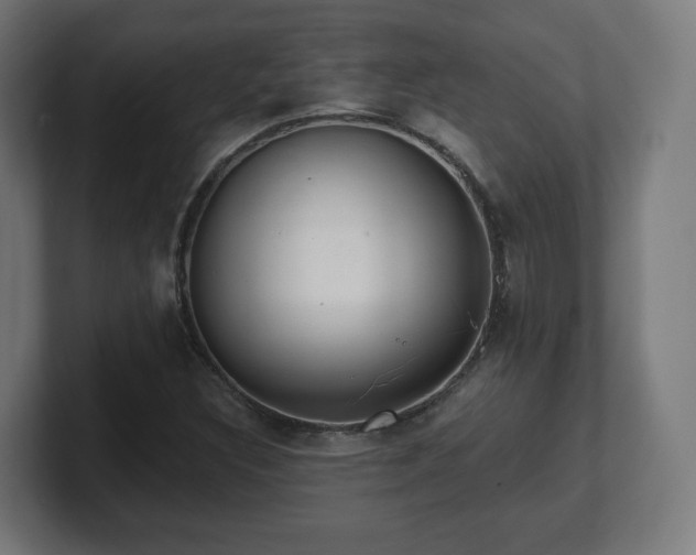 X0000101701308200807171506