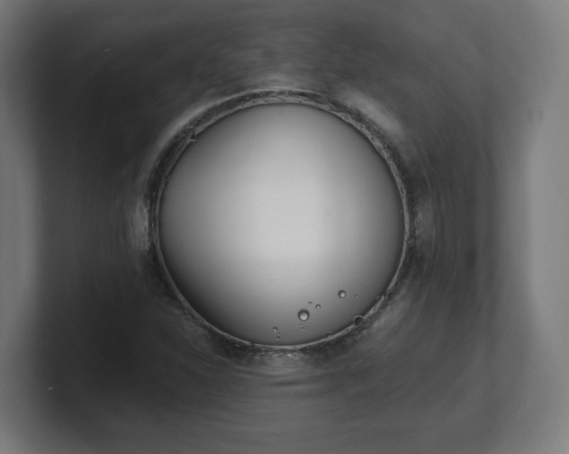 X0000101701310200807171506