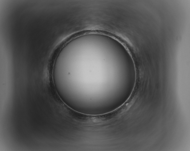 X0000101701311200807171506