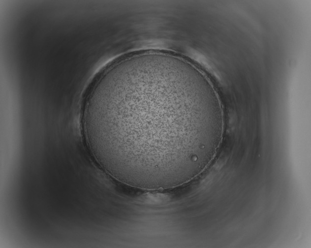 X0000101701312200807171506