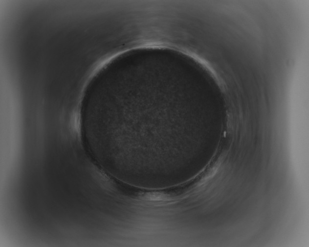 X0000101701319200807171506