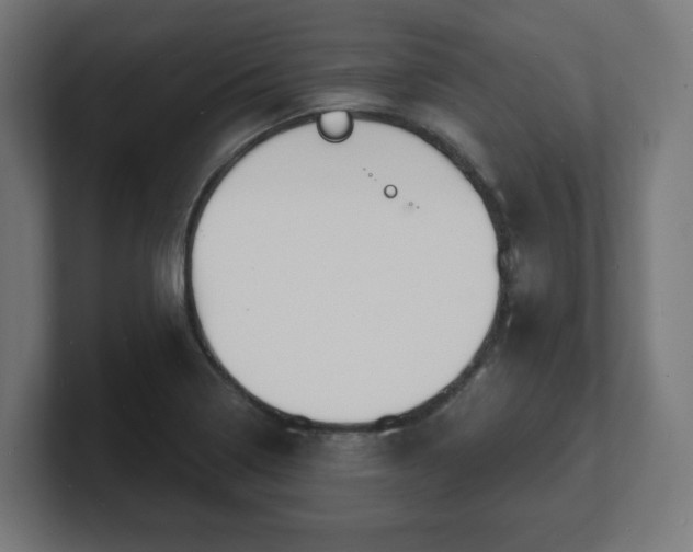 X0000101701322200807171506