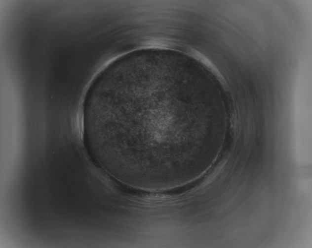 X0000101701323200807171506