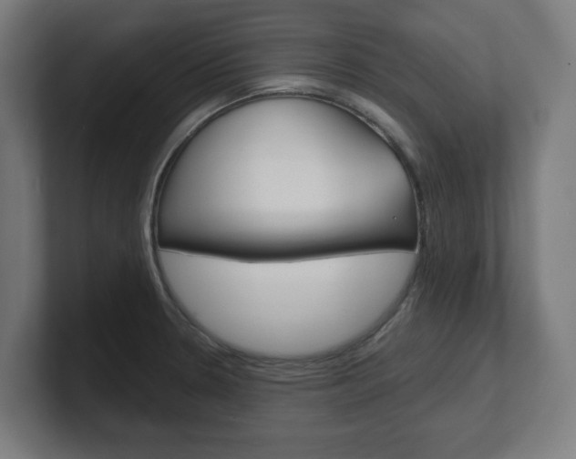 X0000101701330200807171506