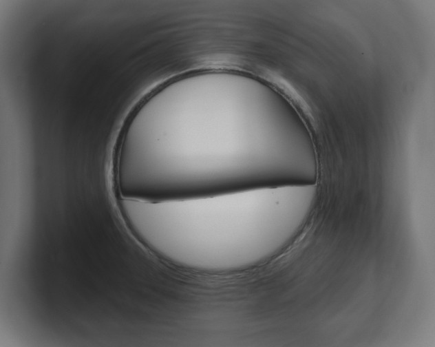 X0000101701331200807171506