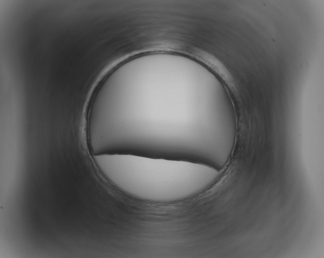 X0000101701332200807171506