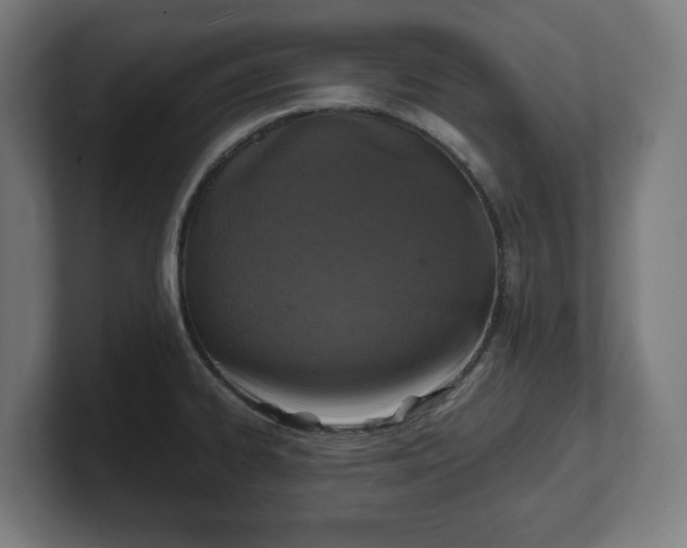 X0000101701334200807171506