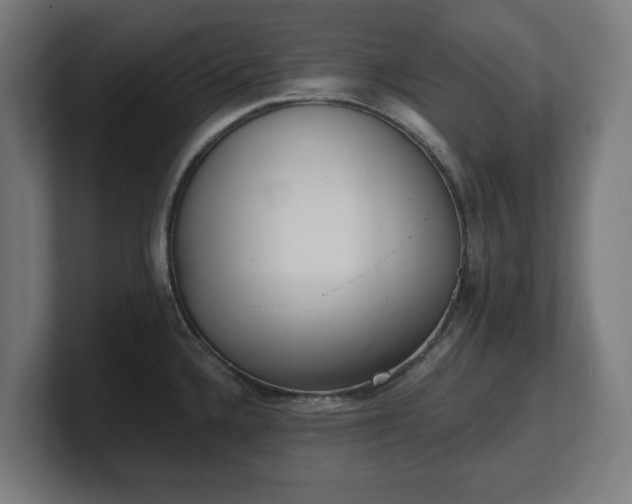 X0000101701336200807171506